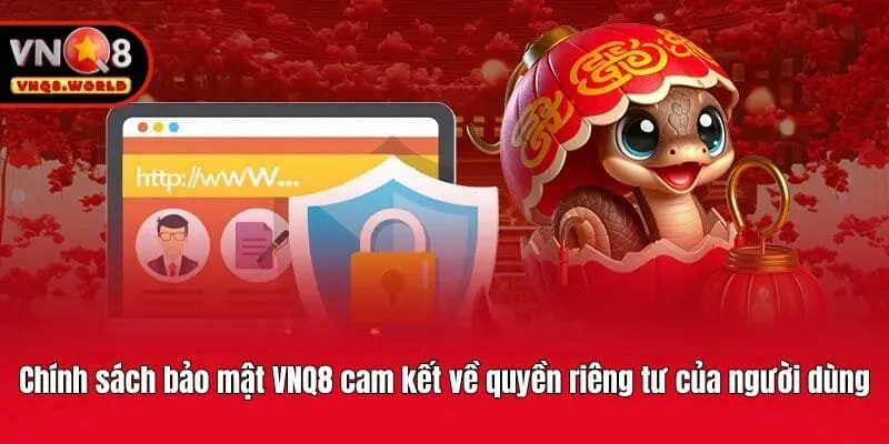 Chính sách bảo mật VNQ8 cam kết về quyền riêng tư của người dùng