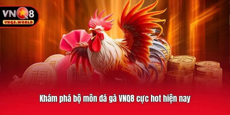 Khám phá bộ môn đá gà VNQ8 cực hot hiện nay