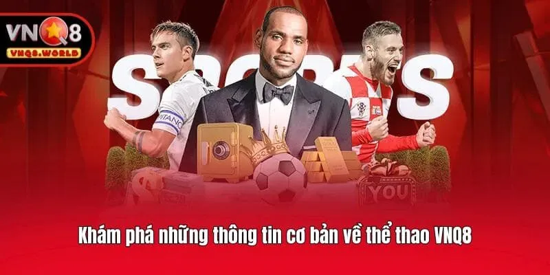 Khám phá những thông tin cơ bản về thể thao VNQ8