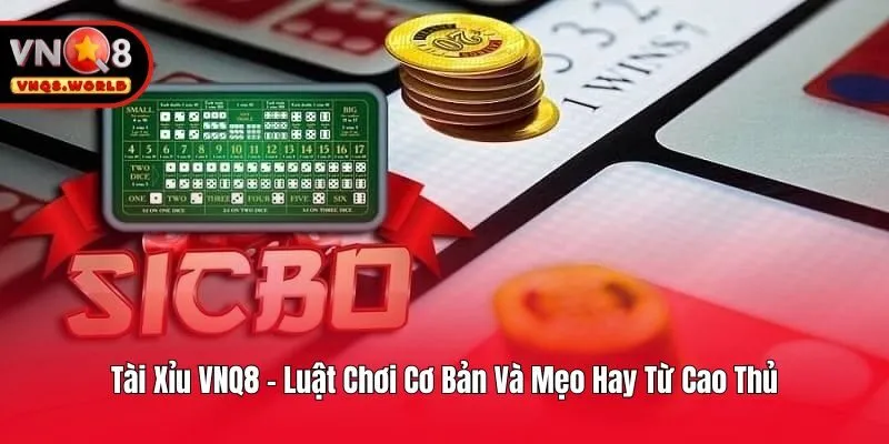 Tài Xỉu VNQ8 - Luật Chơi Cơ Bản Và Mẹo Hay Từ Cao Thủ